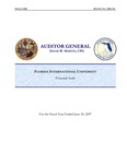 Annual financial report for the fiscal year 2006-2007