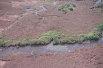 Aerial photo of SRS-3, Shark River Slough by Luz Romero and Emilie Verdon