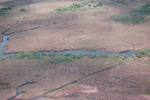 Aerial photo of SRS-3, Shark River Slough