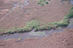 Aerial photo of SRS-3, Shark River Slough by Luz Romero and Emilie Verdon