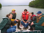 Left to right: Josh Cloutier, Dan Bond, Theo Vlaar, Nicole Poret, Kim de Mutsert in transit to measure forest structure at TS/Ph-8 by Victor H. Rivera-Monroy