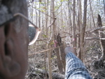 Jay Sah measuring tree density in a mangrove forest impacted by Hurricane Wilma, Harney River by Victor H. Rivera-Monroy