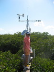 Dr. Rene Price (FCE LTER co-PI) installing a meteorological tower, Taylor Slough