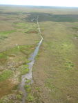 Aerial view of Shark River Slough with SRS-2 in the background by Evelyn E. Gaiser