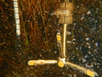 Two devices, each of which measure water velocity; on the right is an acoustic device that is permanently maintained at Gumbo Limbo by PI Rene Price; on the left is a 3D camera with a long fiberoptic lens, deployed for testing purposes by collaborator Evan Variano. by Franco A.C. Tobias