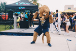 The Uncaging: Panthers on the Lawn 2018 - 20 by Florida International University